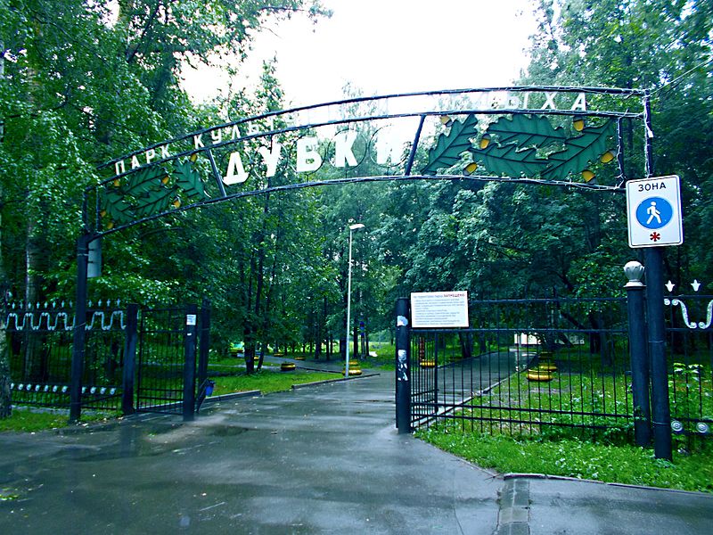 Площадка для йоги и фестивальная аллея появятся в нижегородском парке &laquo;Дубки&raquo; к 2020 году - фото 1