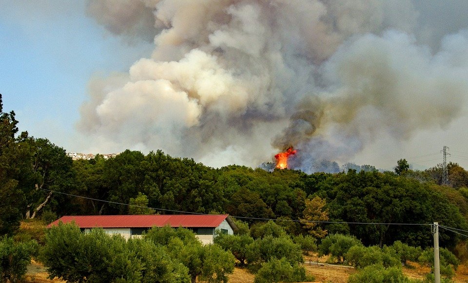 МЧС предупреждает: высокая пожароопасность продолжает угрожать нижегородским лесам - фото 1