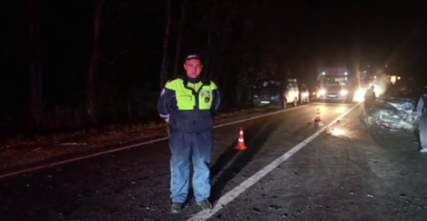 ДТП с двумя погибшими произошло в Нижегородской области - фото 1