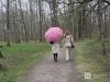 О ливнях и сильном ветре предупреждает нижегородцев МЧС