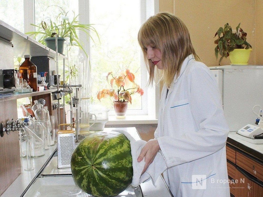 Превышение нормы нитратов обнаружено в арбузе в Нижегородской области - фото 1