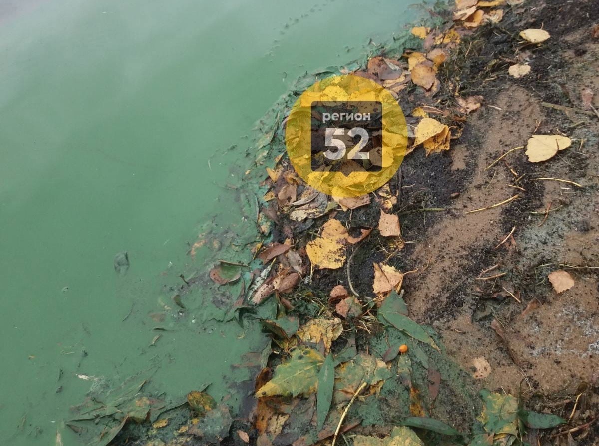 Кислотно-зеленое озер обнаружили под Дзержинском - фото 1