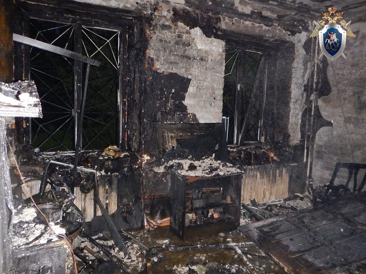 СК организовал проверку по факту гибели женщины на пожаре в Сормове - фото 2
