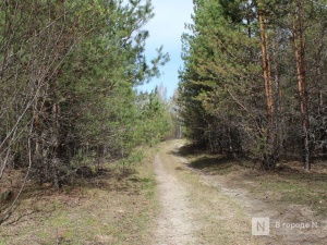 «Бермудские треугольники» Нижегородской области: названы места, где чаще всего пропадают люди