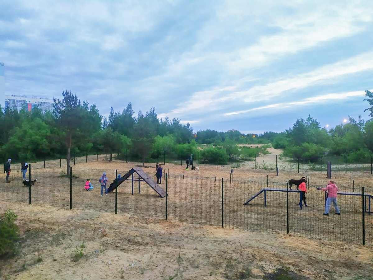 Для четвероногих питомцев сормовичей открыли новую игровую площадку - фото 1