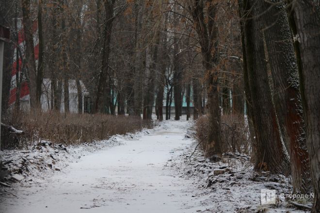 Фоторепортаж: как выглядит парк 1 Мая после первого этапа благоустройства - фото 43