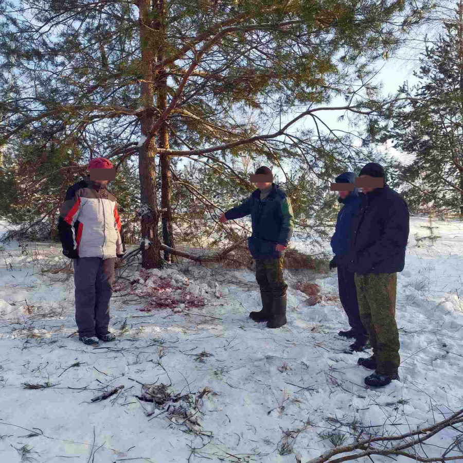 Появились подробности убийства двух косуль браконьером в Нижегородской области - фото 1