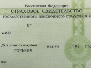 В России отменили «зеленый СНИЛС»