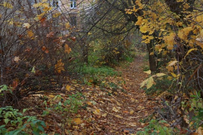 &laquo;Просто существуем&raquo;. Как нижегородцы живут в жутких бараках в районе Бекетова &mdash; фоторепортаж - фото 49