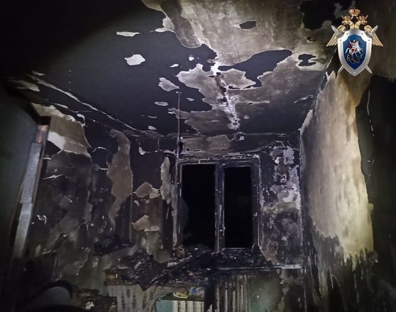 Пожилая нижегородка погибла на пожаре в Вадском районе - фото 2