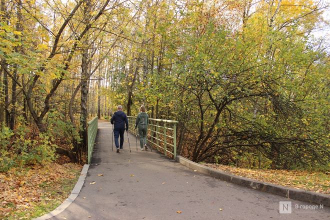 Фоторепортаж: золотая осень в Нижнем Новгороде - фото 46