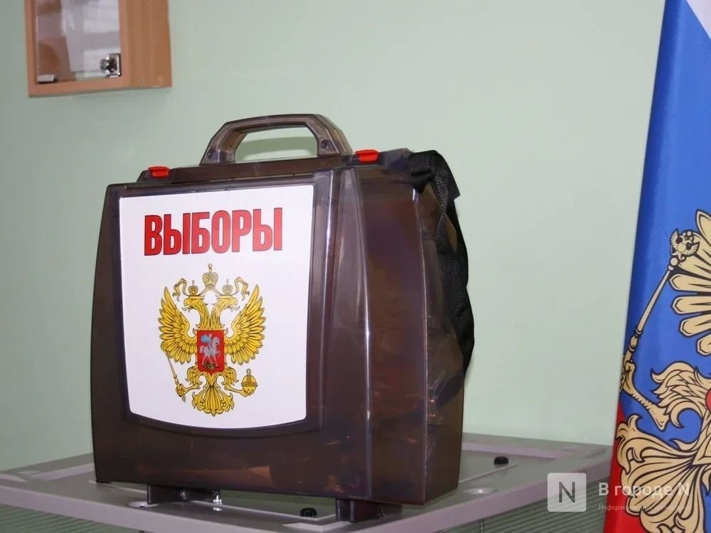 Решение об отказе кандидату от &laquo;Яблока&raquo; в регистрации на выборы в гордуму Нижнего Новгорода отменено - фото 1