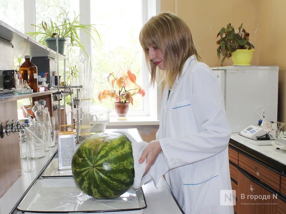 Арбузы в Нижнем Новгороде: как их купить и не отравиться - фото 5