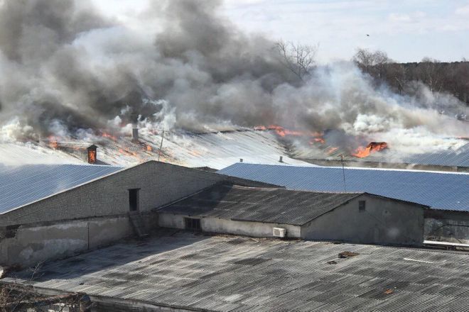 Кожевенный завод загорелся в Богородске - фото 1