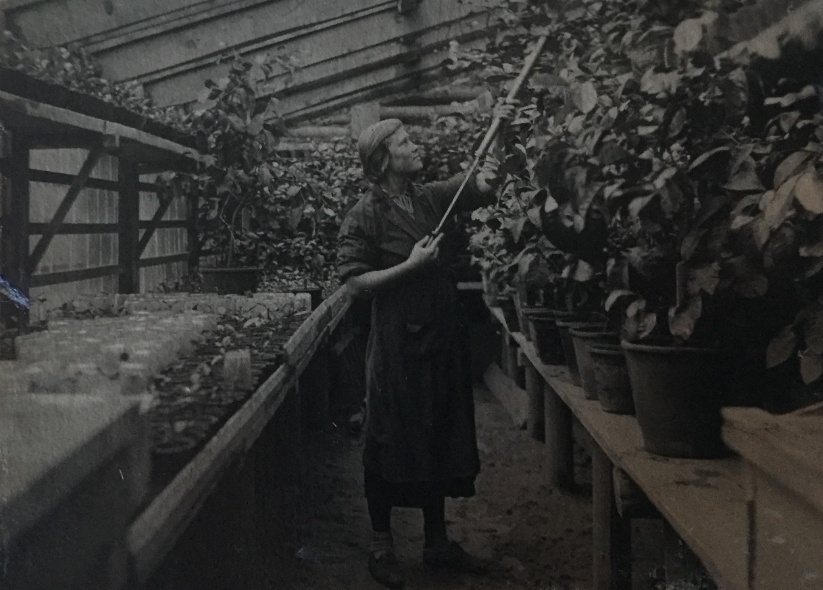 Павлово в Нижегородской области: история и архивные фото родины &laquo;ПАЗиков&raquo; - фото 11