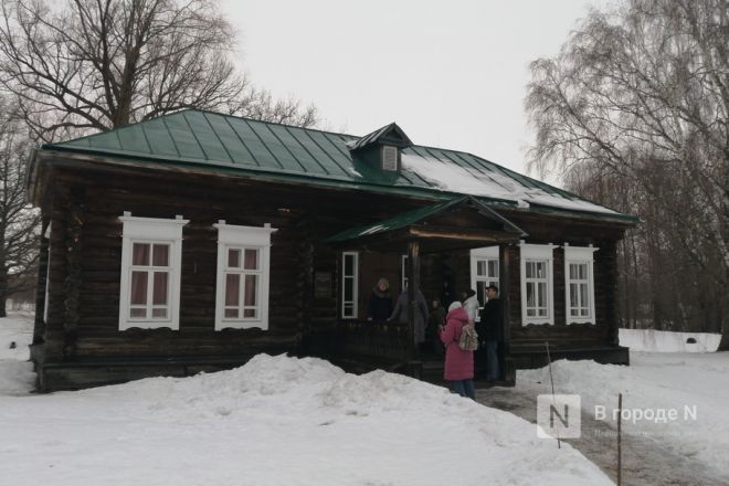 Первые туристы стали участниками зимней сказки в Пушкинском Болдине - фото 10
