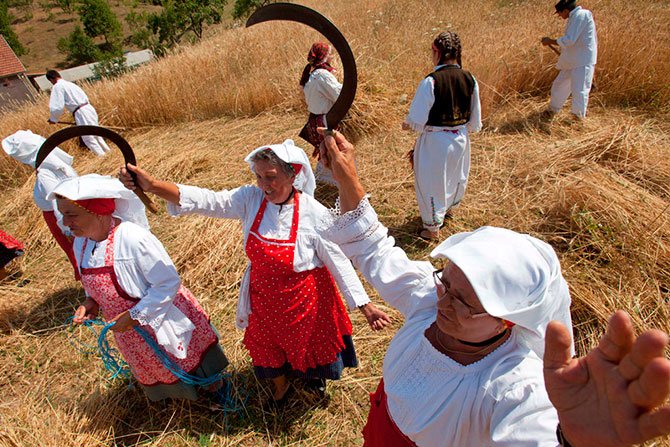 Жительницам российских сел планируют продлить рабочий день Жительницам российских сел планируют продлить рабочий день