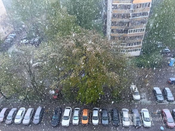 Фото: снежная буря обрушилась на Нижний Новгород 7 мая - фото 12