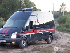 3,5 года колонии получил житель Гагинского района за изнасилование соседки