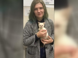 Российская студентка заплатила 340 тысяч рублей за спасение котенка