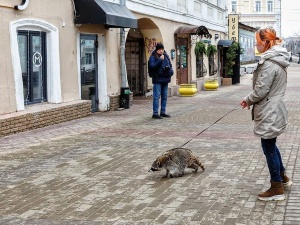 С енотом на поводке прогулялась нижегородка по Рождественской