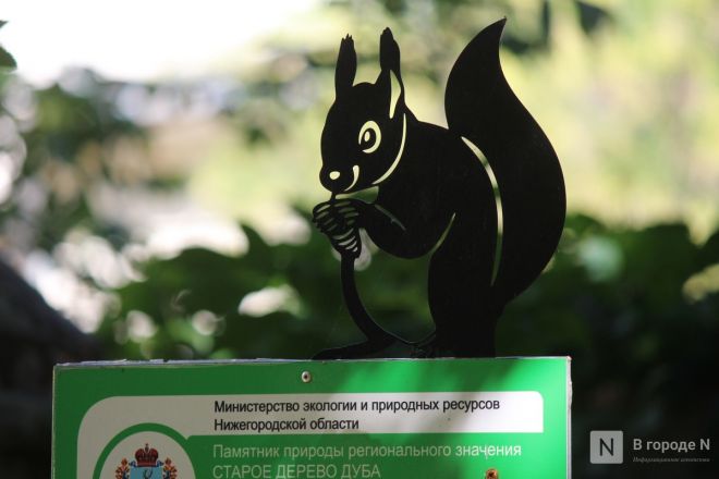 Карта новых арт-объектов Нижнего Новгорода: как они выглядят и где их искать - фото 37