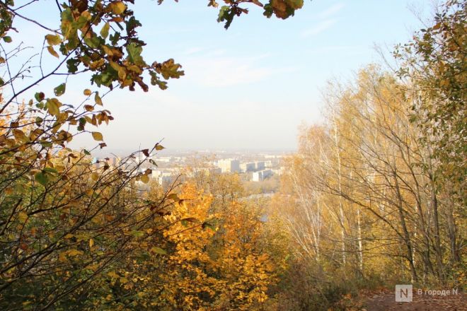 Фоторепортаж: золотая осень в Нижнем Новгороде - фото 41