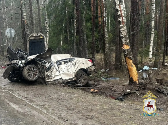 Опубликованы фото с места ДТП в Нижегородской области, где погибли три человека - фото 3