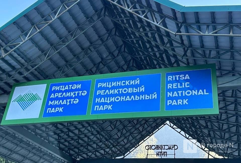 Страна гор, контрастов и ротавируса: нижегородка рассказала правду об отдыхе в Абхазии - фото 10