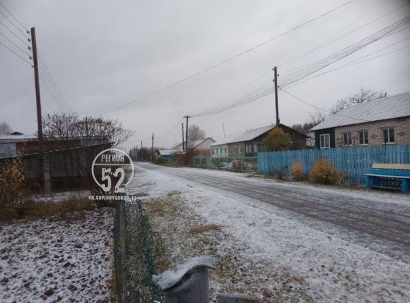 Первый снег выпал в Нижегородской области - фото 2