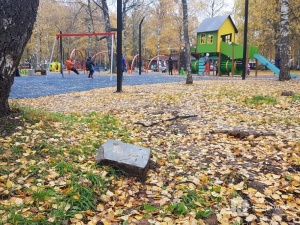Недоблагоустройство: нижегородцы продолжают жаловаться на мусор в парке Пушкина