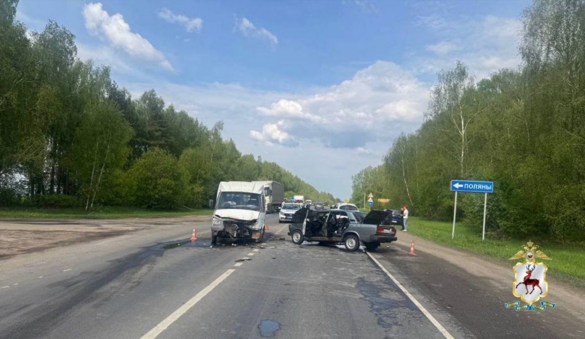 Два человека пострадали в ДТП на трассе в Нижегородской области