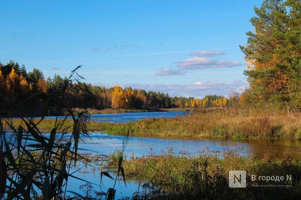 Осенние холода придут в Нижегородскую область после 18 сентября - фото 1