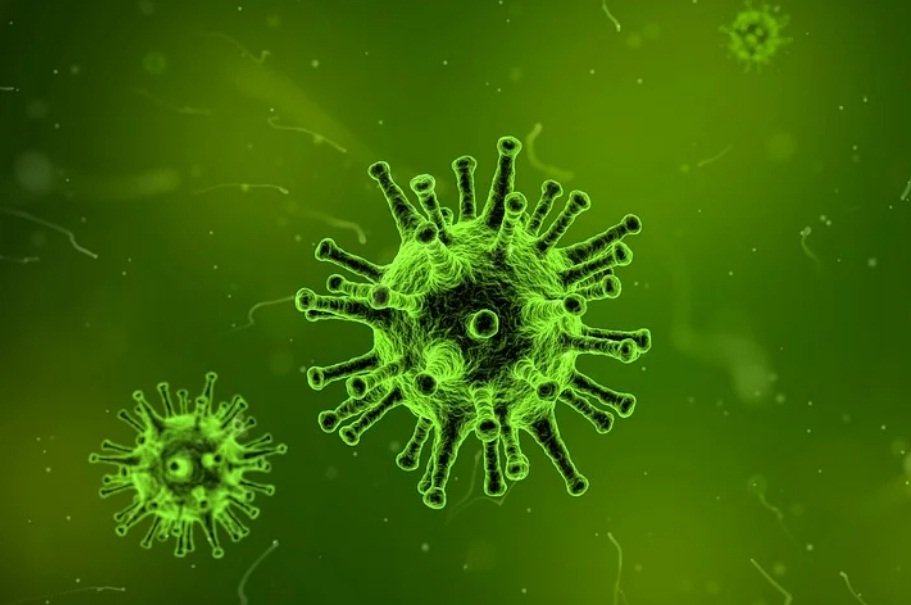 Все, что нужно знать о китайском коронавирусе 2019‑nCoV  - фото 1
