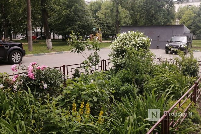 Пять самых красивых дворов Автозавода показали нижегородцам - фото 6