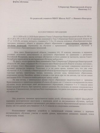 Противники дистанционного образования написали письмо главе Нижегородской области - фото 2