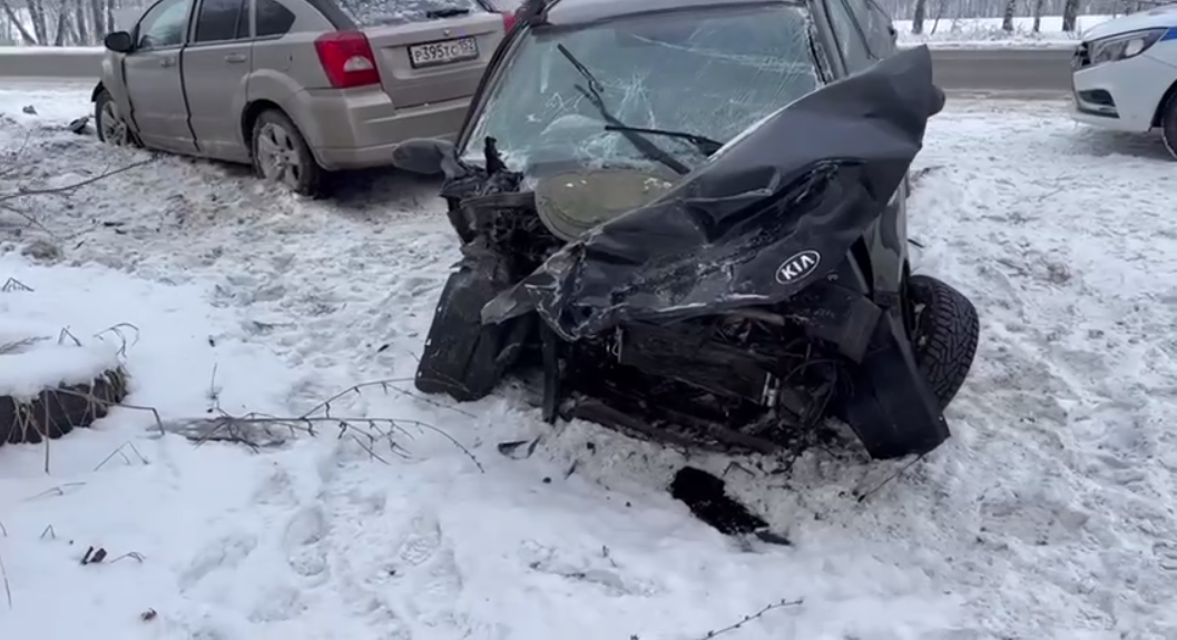 Четыре человека пострадали в ДТП на трассе в Нижегородской области - фото 1