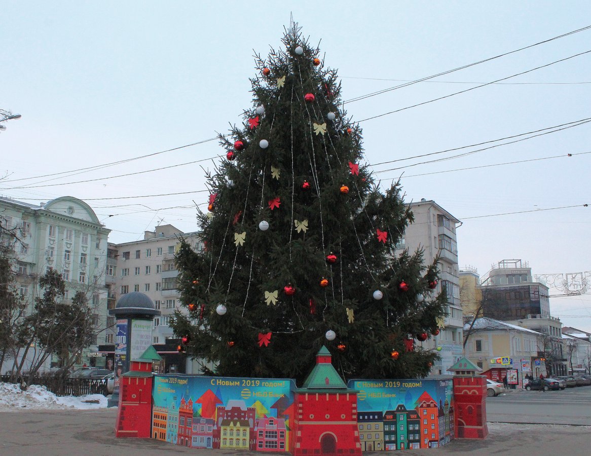 В Нижнем Новгороде началась установка главной городской елки - фото 9