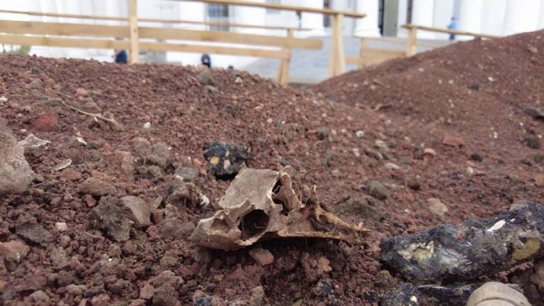 Кости и черепа обнаружили во время благоустройства центра Арзамаса - фото 1