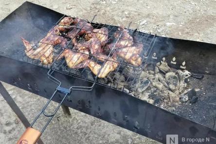 На 11% подорожало мясо для шашлыка в Нижегородской области за год