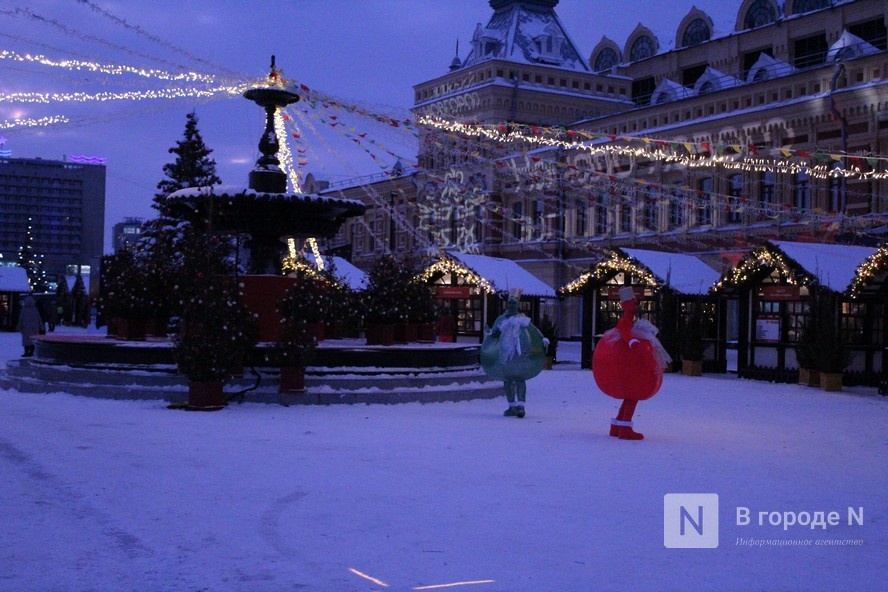 Нижний Новгород украсят новогодними флагами за 6,3 млн рублей