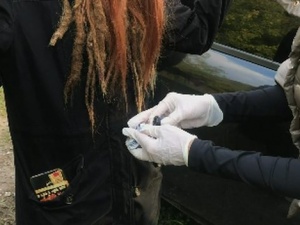 Девушку с наркотиками задержали полицейские в нижегородском лесу