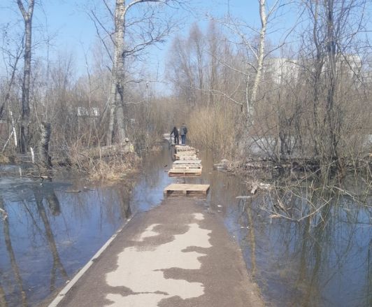 Пешеходную дорожку затопило в Московском районе - фото 1