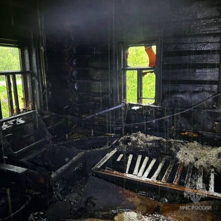 Дети устроили пожар в жилом доме в Нижегородской области - фото 1