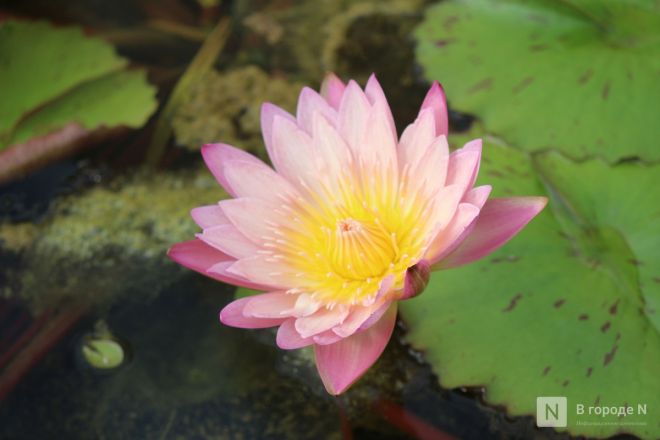 Великая стена и проблемы с интернетом: нижегородка рассказала о незабываемом путешествии в Китай - фото 125