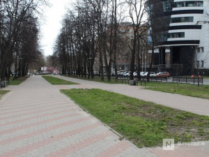 Барабаны и велопарковка появятся в сквере на Звездинке