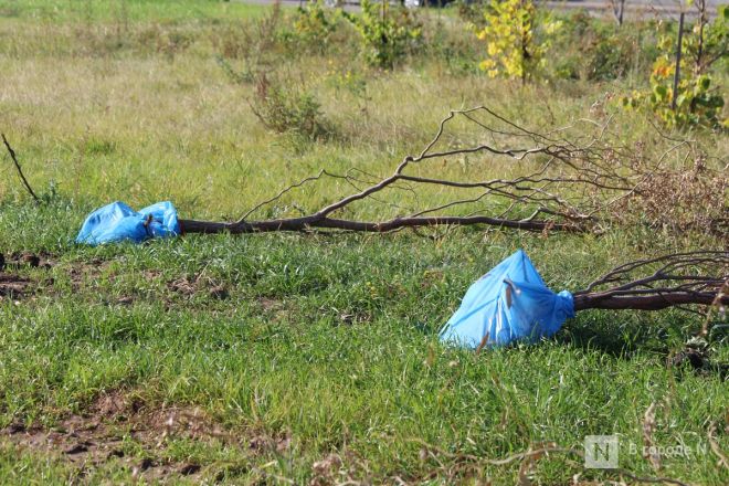 Благоустройство на 100 миллионов: каким станет сквер у метромоста в Нижнем Новгороде - фото 63