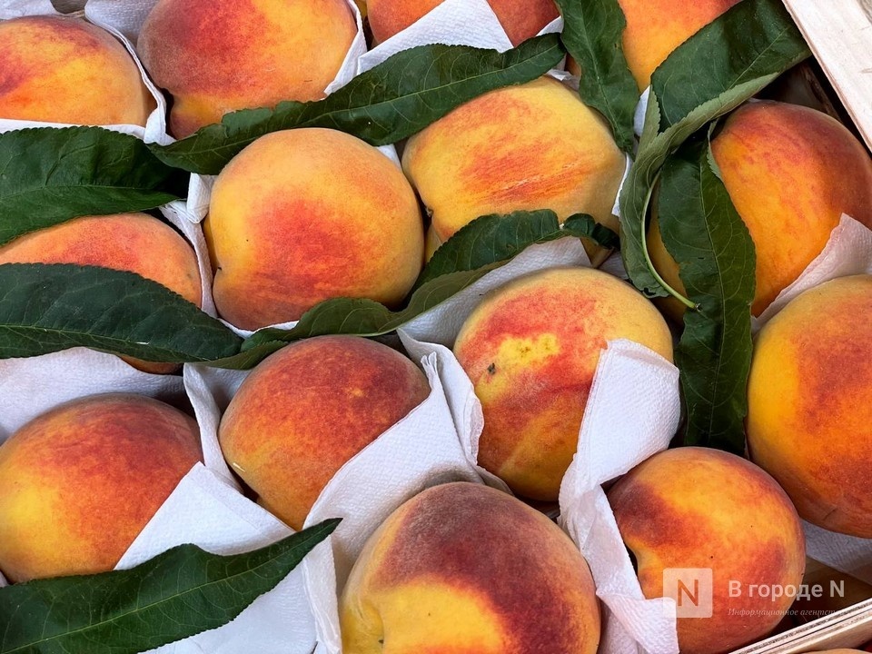 16 партий зараженных продуктов из-за рубежа нашли в Нижегородской области - фото 1