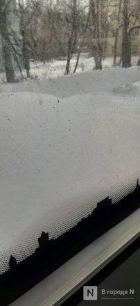 Со скрипом, зато быстро: тестируем самые популярные трамваи Нижнего Новгорода  - фото 28