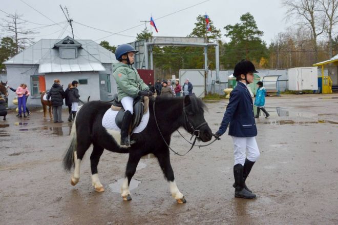 Новый манеж для конного спорта открылся в Нижнем Новгороде - фото 2